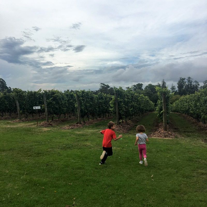As crianças ficaram super à vontade na vinícola e adoraram experimentar as uvas