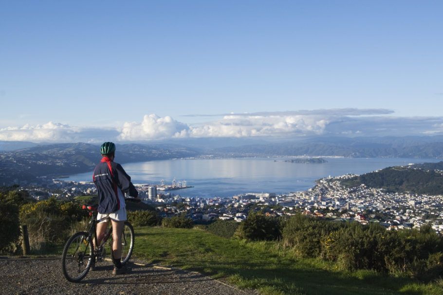 Vista da cidade de Wellington, considerada a “capital mais simpática do mundo”