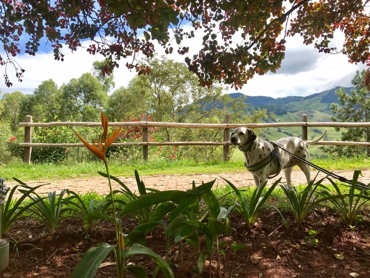 Maguinha, do Patas ao Alto, divertindo-se na área verde da pousada do Quilombo