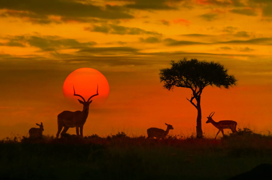 Pôr do sol no Parque Nacional Kruger, na África do Sul