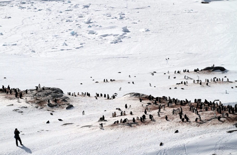 Desembarque em Jougla Point, na Península Antártica