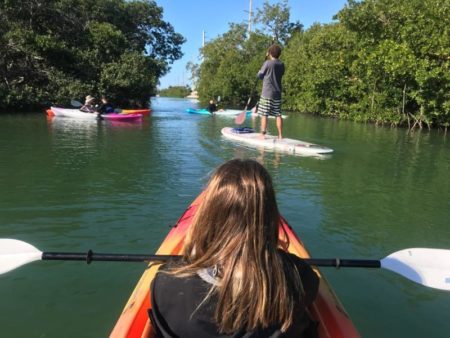 Caiaque e Sup em Key West