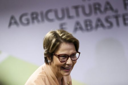 A ministra da Agricultura, Tereza Cristina