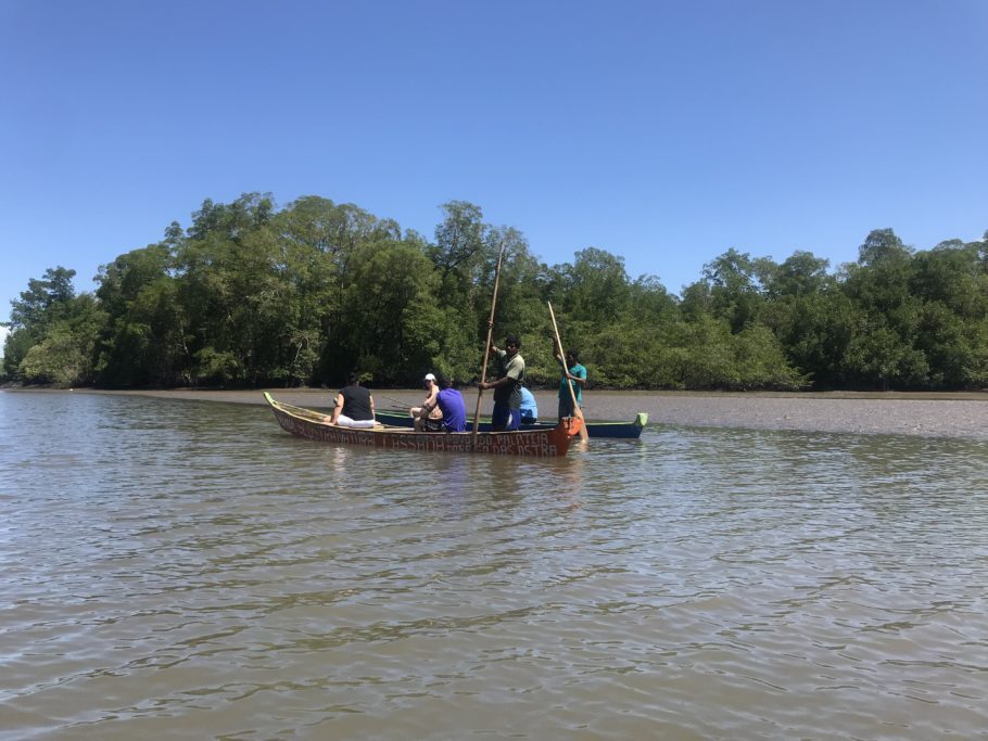 Canoeiros levam turistas para conhecer a extração de ostras na Palatéia, em Alagoas