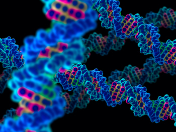 Coleta de material biológico para exames de DNA será realizada por ordem de chegada, sem necessidade de agendamento, na sede do Imesc, em São Paulo