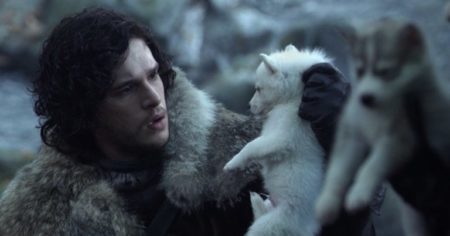 Em Game of Thrones, os lobos são interpretados por cães da raça inuit do norte