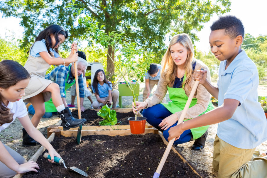 Ajudar a plantar as sementes das verduras ou a regar as plantas na horta são atividades físicas que ajudam no desenvolvimento motor infantil