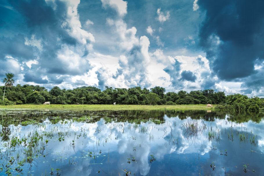 O Pantanal é uma das belezas do centro-Oeste brasileiro