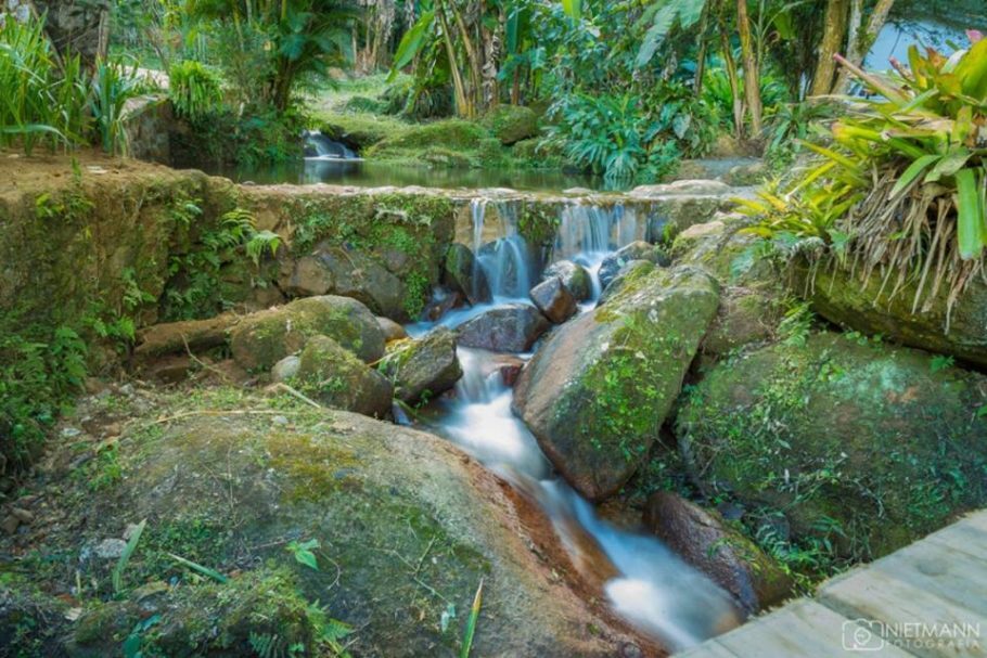 A Fazenda Bananal tem mais de 70% de área com floresta de Mata Atlântica preservada, com suas nascentes e córregos protegidos