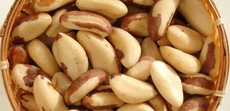 Estudo aponta para poder anti-inflamatório da castanha brasileira