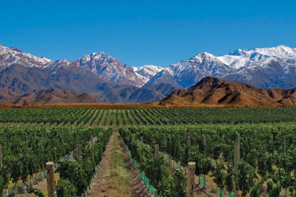 Roteiro lista vinícolas de Mendoza, na Argentina