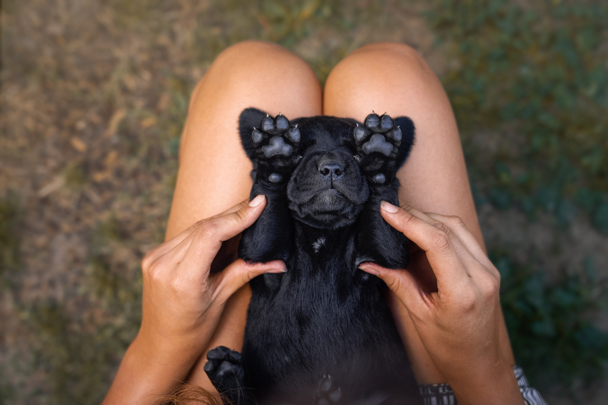 Impacto dos pets na saúde mental é ainda maior entre aquelas que sofreram abusos na infância – Manushot/istock