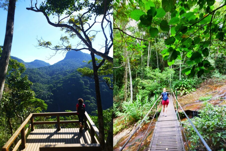 Aproveite os dias de descanso para curtir uma trilha leve pela Floresta da Tijuca