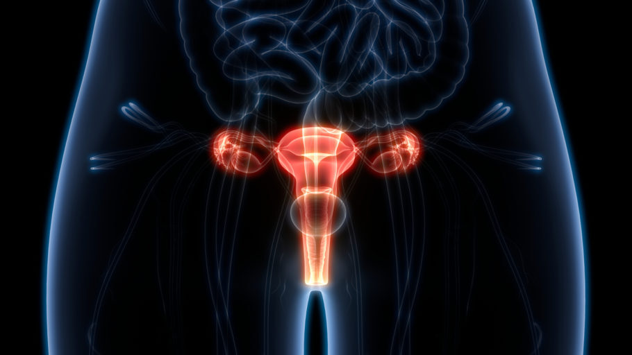 O câncer de colo do útero tem início com alterações na região cervical