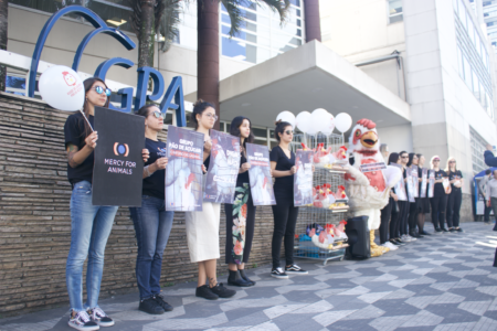 Ativistas da Mercy For Animals em manifestação em frente ao Grupo Pão de Açúcar para pressionar por adoção de política cage-free