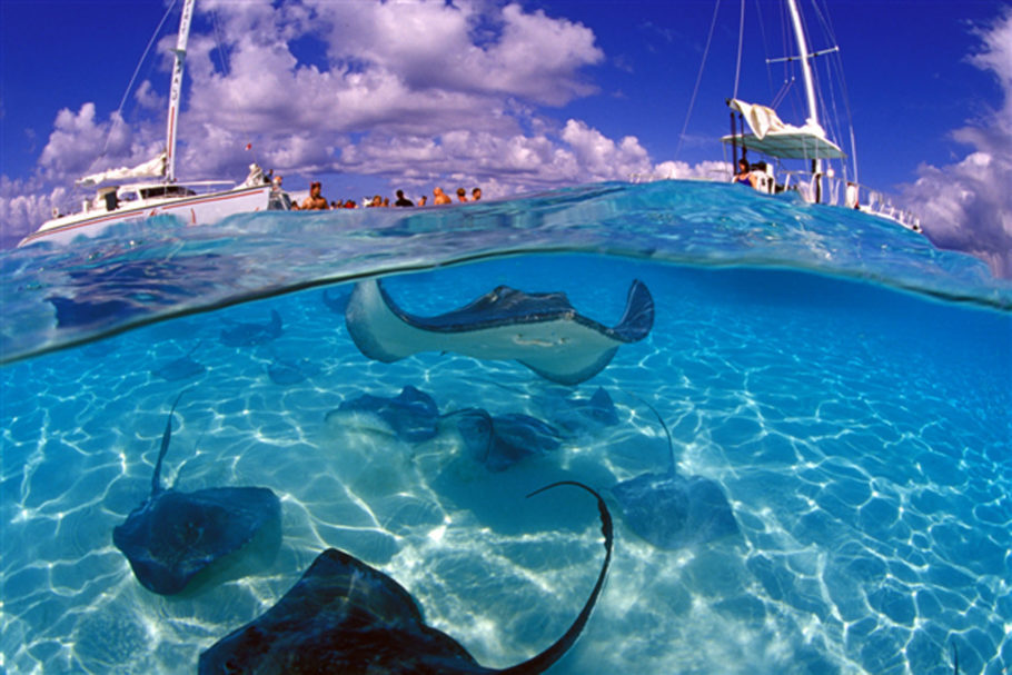 Stingray City, o mergulho com arraias livres no oceano, é um dos passeios nas Ilhas Cayman