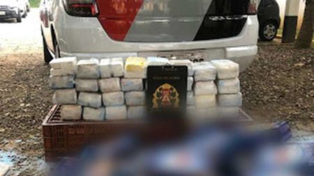 SP: Homem é surpreendido com cocaína dentro de embalagem de sabão em pó comprada no mercado