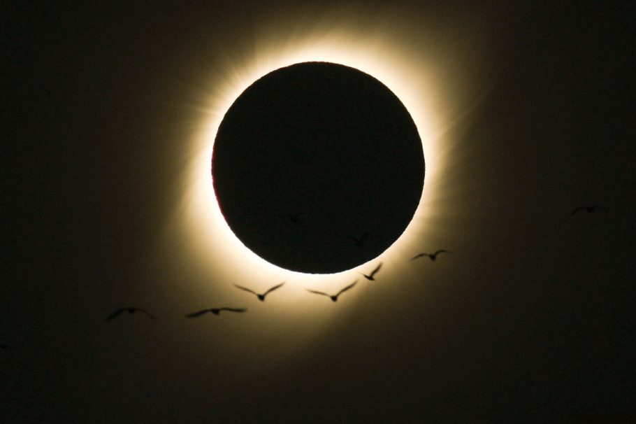 Os pássaros junto ao eclipse chamaram a atenção da Nasa