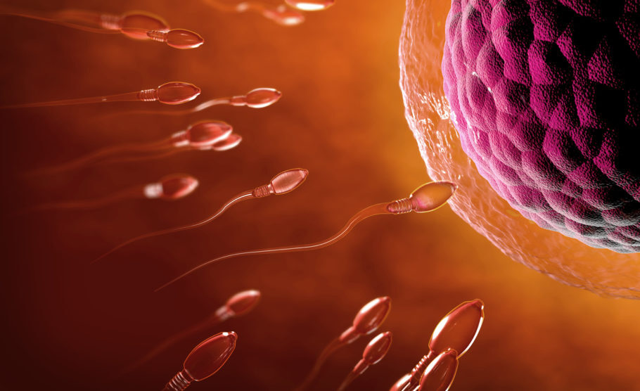 ilustração de espermatozoides fecundando um óvulo