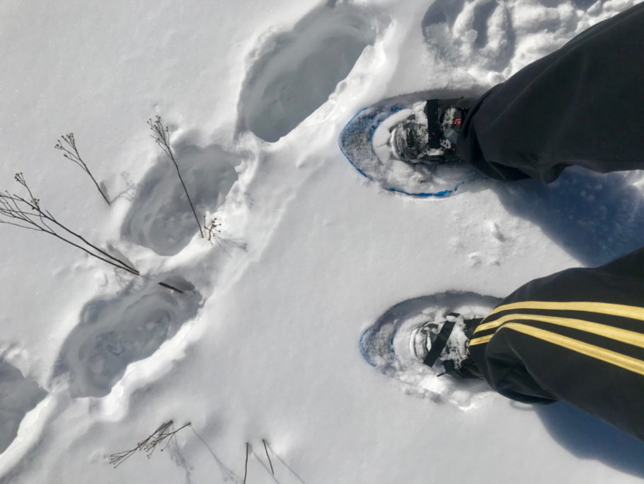 Raquete é acoplada à bota de snowboard para fazer trekking na neve