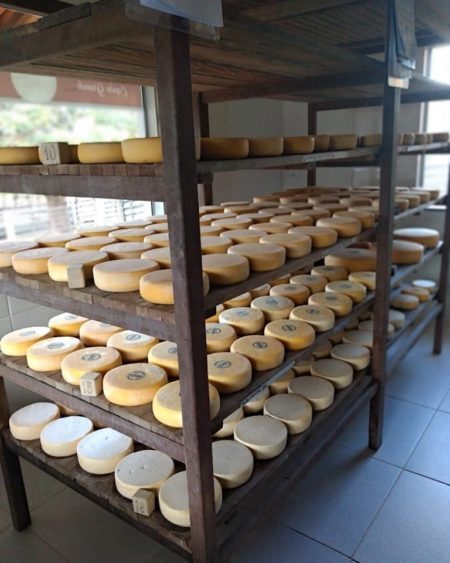 A Fazenda Capão Grande produz o queijo canastra artesanal desde 1944, a cinco gerações