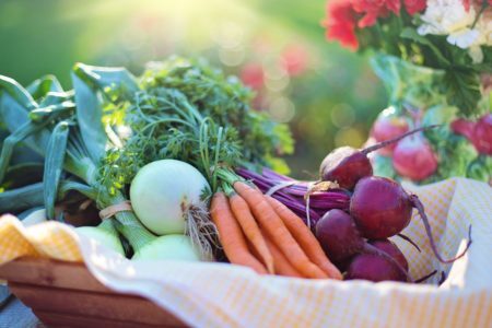 Dia Mundial da Segurança Alimentar alerta para contaminação