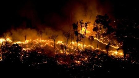 Incêndio na Floresta Amazônia no Pará