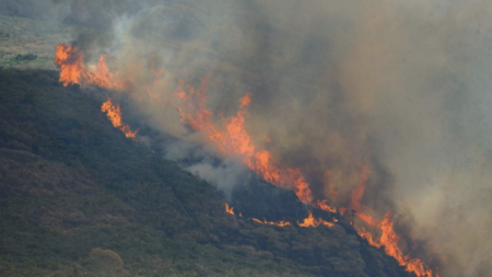 Incêndios crescem na Floresta Amazônica e geram movimento contra queimadas