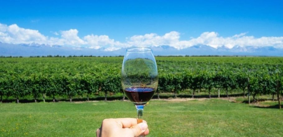 Reserve um dia para visitar as vinícolas e degustar os melhores vinhos argetinos
