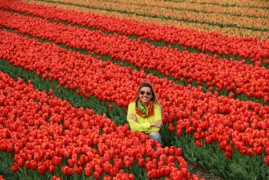  Plantações de tulipas no Parque Keukenhof