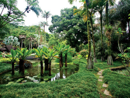 Antiga residência do arquiteto e paisagista abriga uma das mais significativas coleções de plantas tropicais e subtropicais do mundo