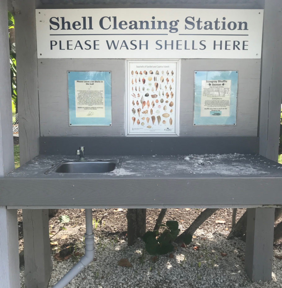 Estação de limpeza de conchinhas no Casa Ybel Resort, em Sanibel