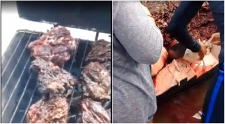 Carne de baleia que encalhou em Salvador vira churrasco