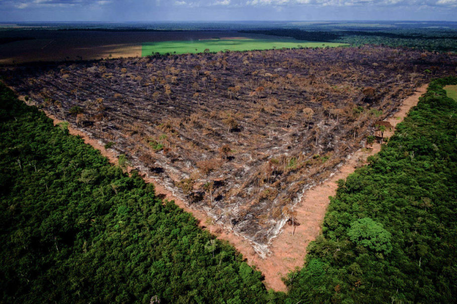 O território queimado na Amazônia em agosto deste ano é mais de quatro vezes maior do que o registrado no mesmo mês em 2018