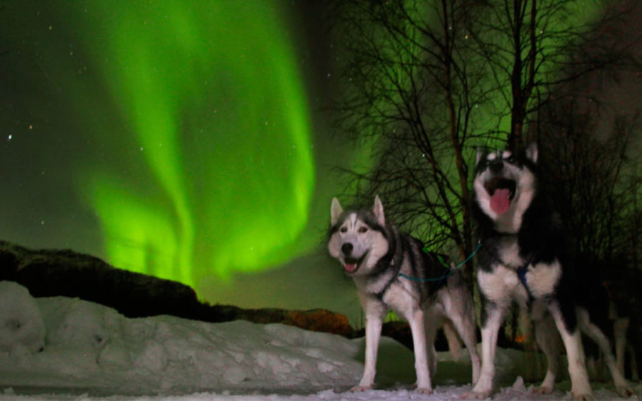 A aurora boreal é um dos fenômenos mais belos da natureza
