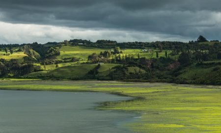  A exuberante natureza de Chiloé, arquipélago que fica na Patagônia Norte