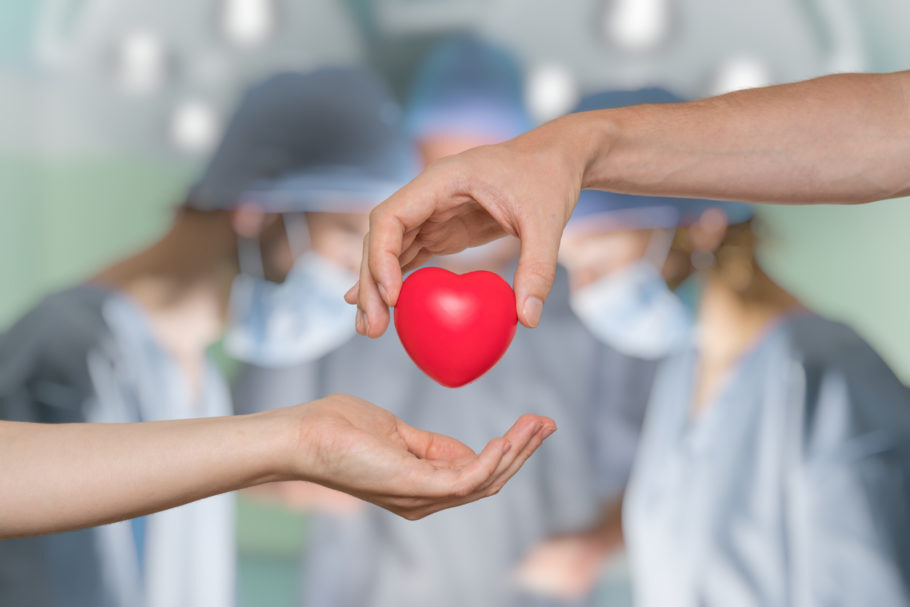 Os transplantes de medula óssea aumentaram 26,8% e os de coração cresceram 6,3%