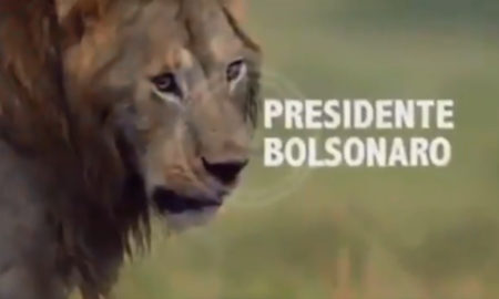 Bolsonaro se compara a ‘leão’ e coloca PSL, ONU e STF como inimigos