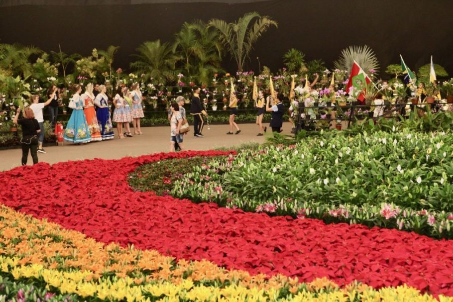  A edição deste ano da Festa das Flores de Joinville vai de 12 a 17 de novembro