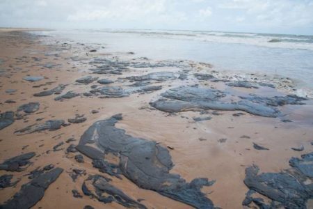 As causas e responsabilidades do despejo de óleo estão sendo investigadas pelo Ibama