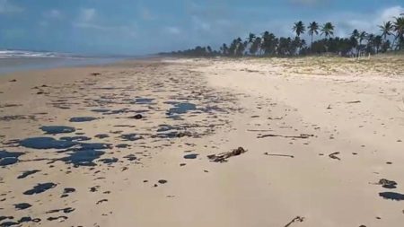 Manchas de óleo em praia da Bahia