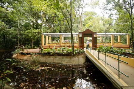 O Jardim Botânico dispõe de sete jardins temáticos onde você pode fazer piquenique à vontade!