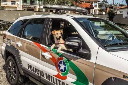 “Adotar é um ato de amor”, escreveram os policiais após a adoção do cachorro