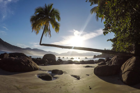 Cartão postal de Ilha Grande: o coqueiro de Aventureiro