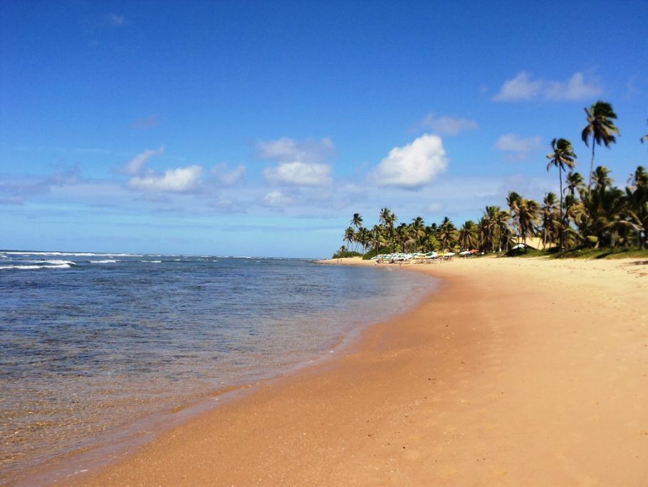 Um dos destinos mais badalados da Linha Verde –estrada que liga a Bahia ao Sergipe– a praia do Forte tem apenas 14 km