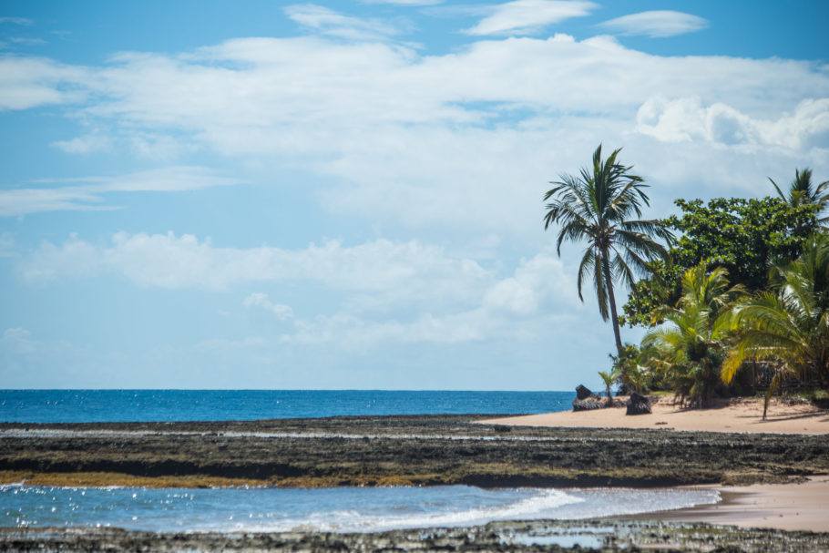 Vista da praia dos Três Coqueiros, na Península de Maraú, no sul da Bahia; Nordeste lidera preferência dos brasileiros para o fim do ano