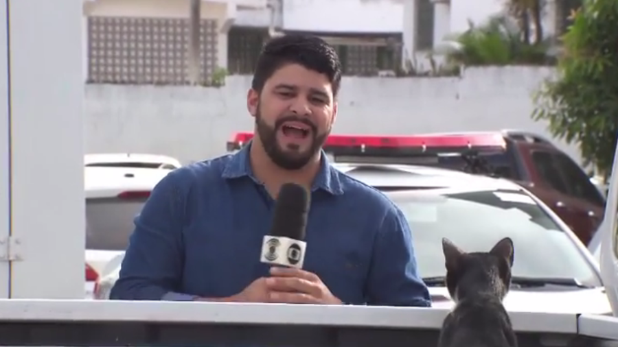 O repórter Artur Lira e o gatinho na gravação para a TV Paraíba