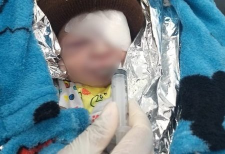 Morre recém-nascido achado abandonado coberto por formigas em SP