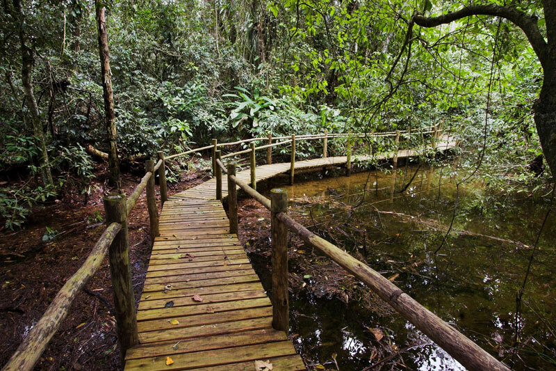 O Itamambuca Eco Resort fica em uma  área preservada da Mata Atlântica