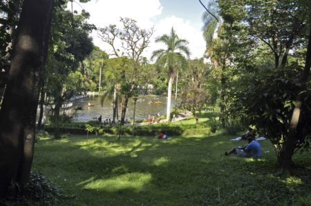 O parque abriga 280 tipos diferentes de árvores de diversos lugares do Brasil e do mundo, além de 330 espécies de plantas ornamentais, que complementam o paisagismo dos jardins
